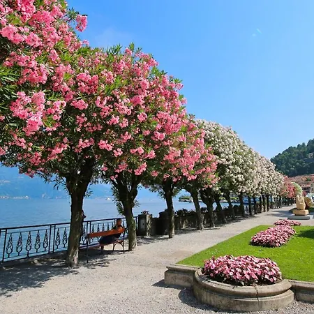 Bellagiowonderful In Center Daire